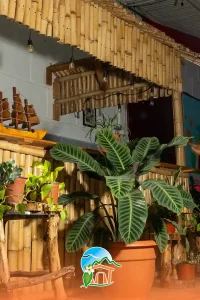 hspedaje-y-evento-08